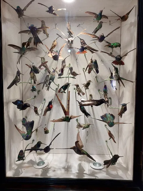 Carlos Ritter Natural Science Museum