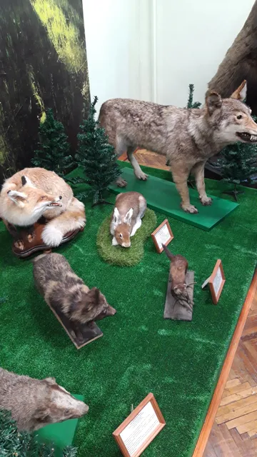 Дмитриевка