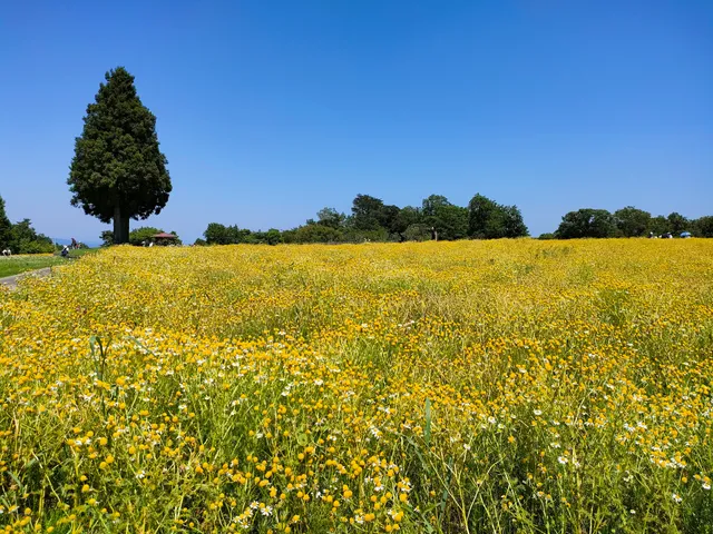 Menadoaoyama Resort Herb Garden
