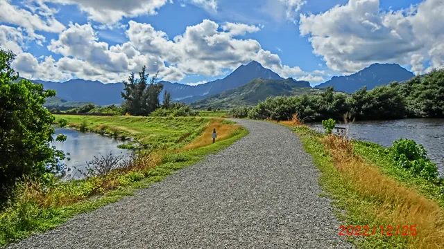 Kawainui Marsh Wildlife Sanctuary