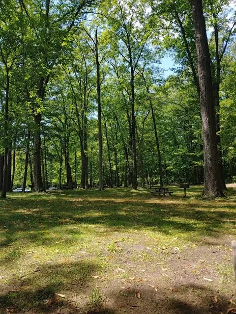 Haviland's Cove Park