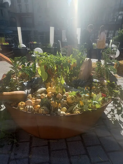 Place de la République Limoges