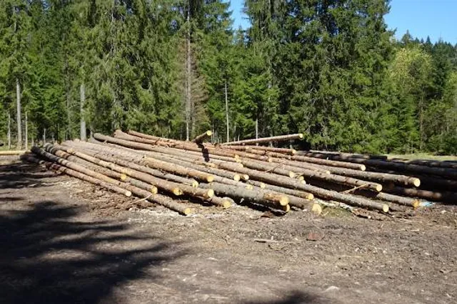 Glasrikets Älgpark AB