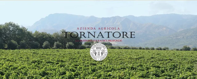 Cantine Tornatore