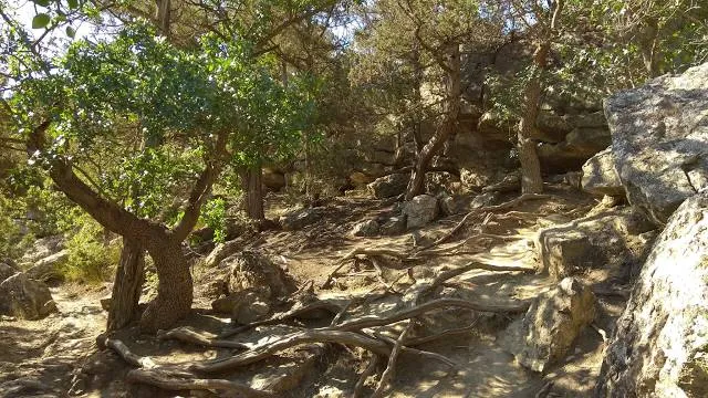 Anchored Roots Vineyard & Winery