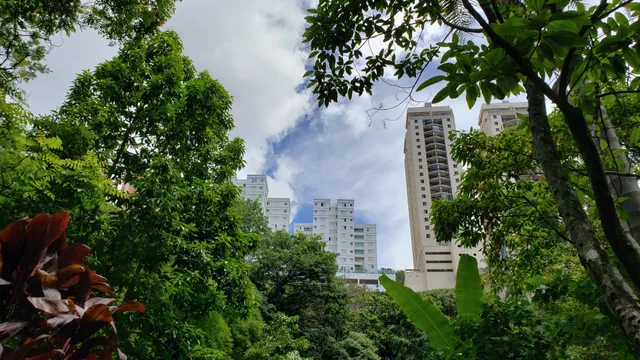 Parque Mata das Borboletas