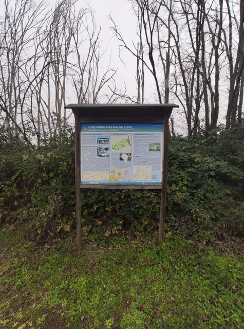 Belvedere Ripa Bianca