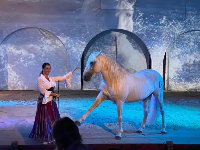 Cabaret Equestre de Camargue
