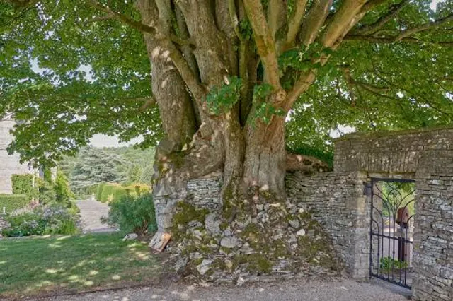 The Garden at Miserden