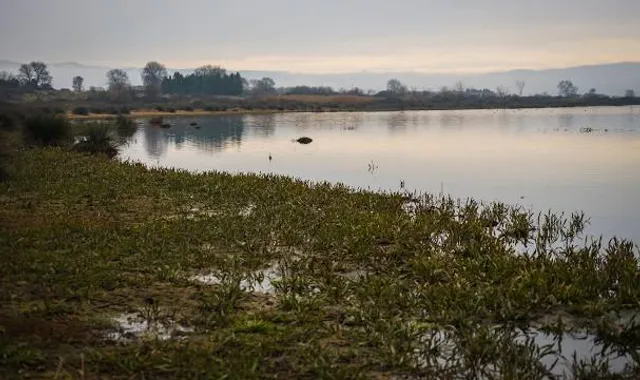 Municipality of Lagadas