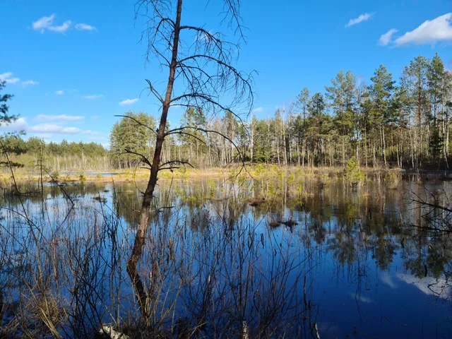 Zackagirio pažintinis takas