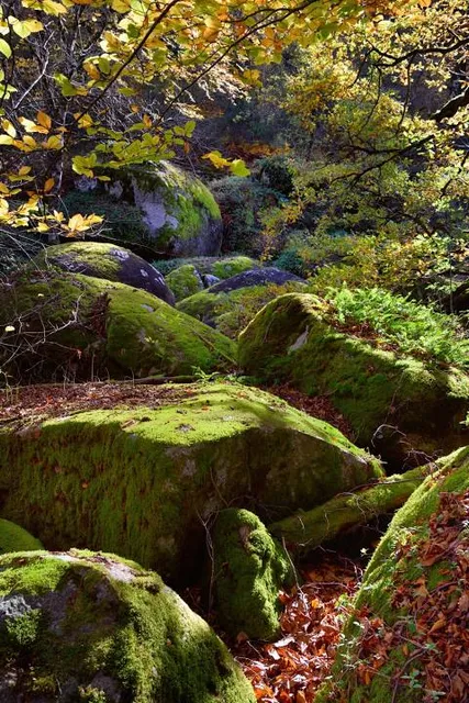 Chaos de la Rouquette