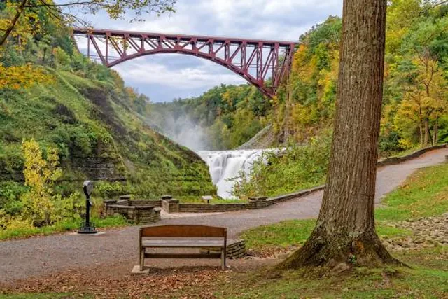 Genesee Arch Bridge