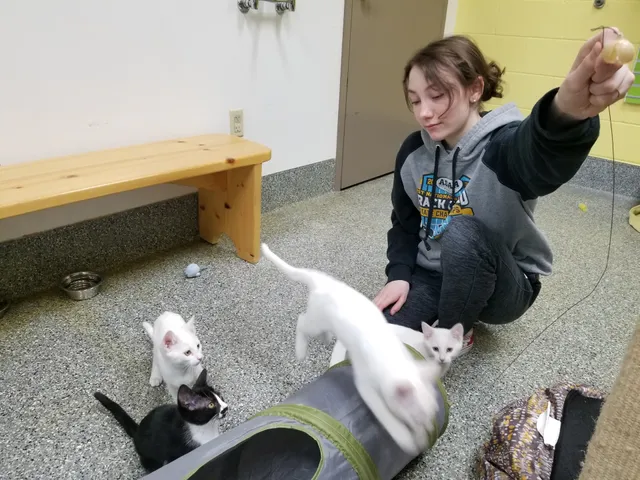 Homer City Animal Shelter