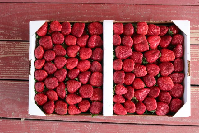 Williamson Strawberries