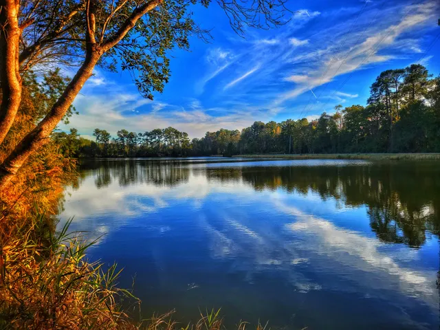 Al Bungard Conservation Area