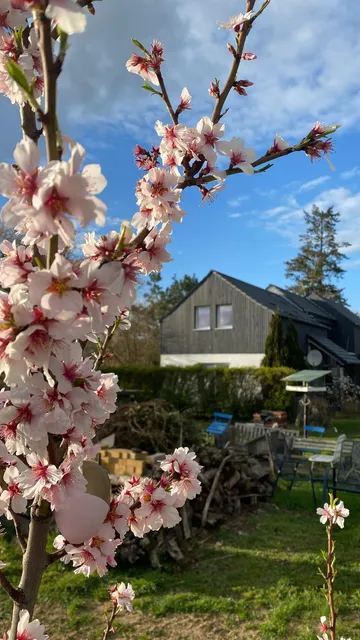 Ferienhaus Havelregion