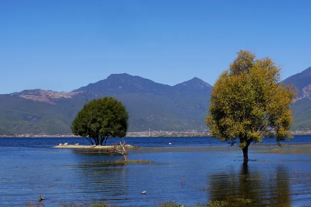 Lijiang Lashihai Wetland Park