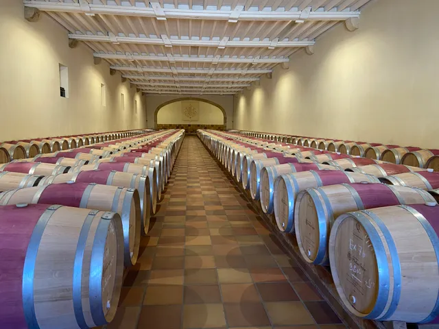 Chateau Phelan Segur SAS