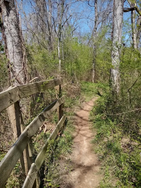 Chickasaw Trace Park