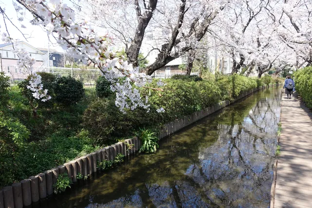 Shukugawara 1-chome Park