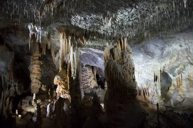 Postojna Cave