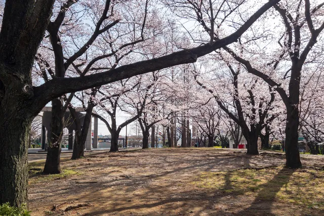 Kamishiba Central Park