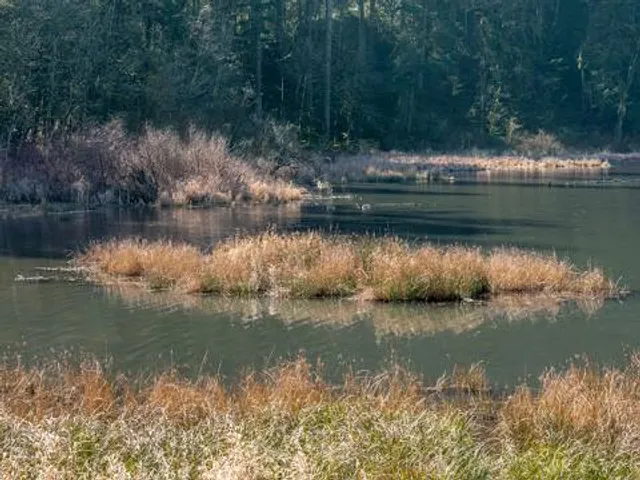 Fallen Leaf Lake Park
