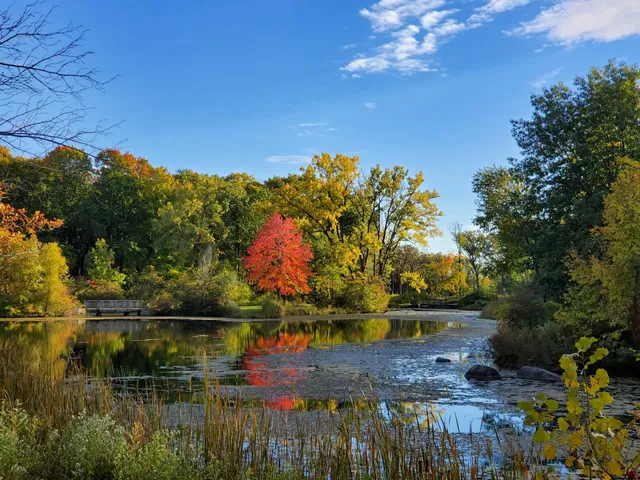 Captain Daniel Wright Woods Forest Preserve