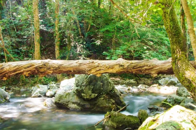 Bosco Magnano - Torrente Peschiera