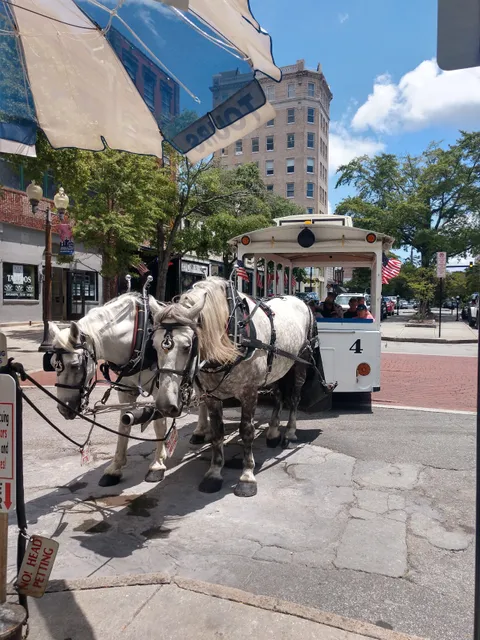 Springbrook Farms Carriage