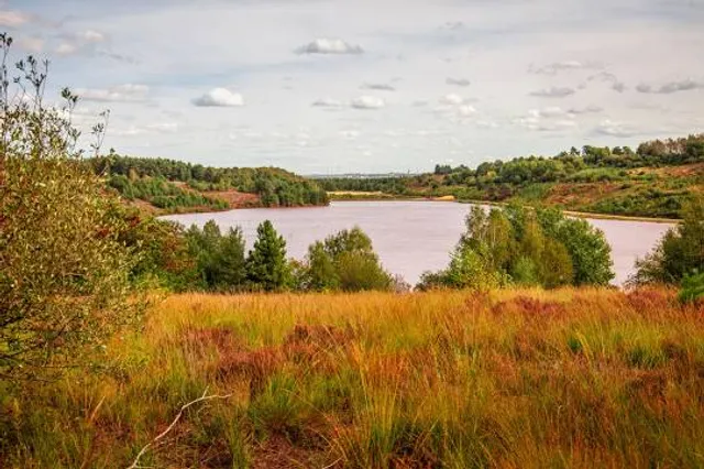 Hoge Kempen National Park