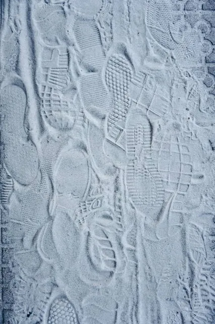 Dunes de Charmes Natural Area