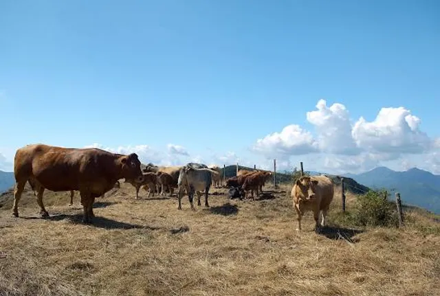 Passo della Cappelletta