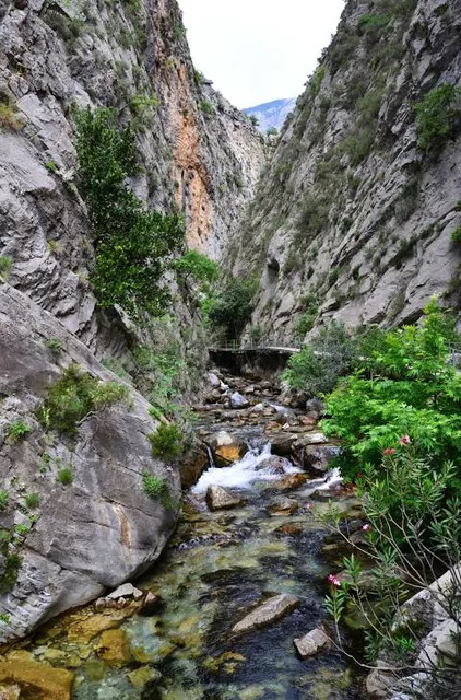 photo-1