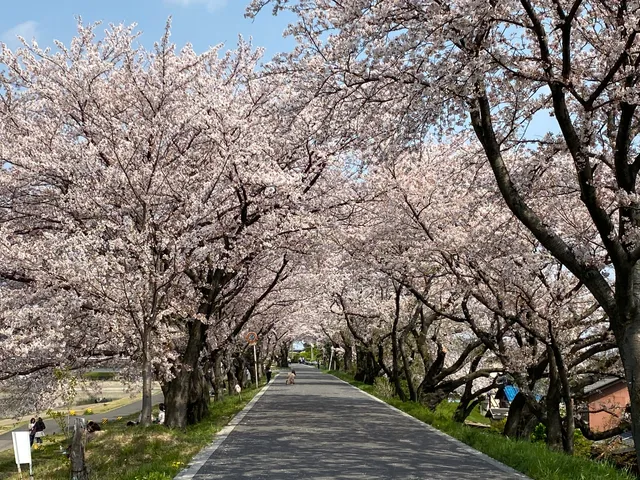 Saigawa River Embankment