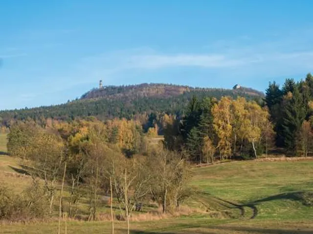 Hochwald