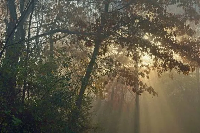 Puthuk Panggang Welut