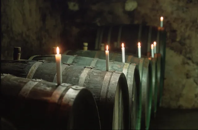 Steillagen Weingut Conrad-Bartz