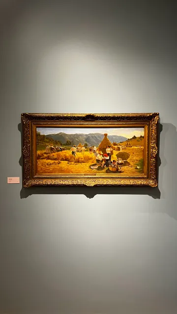 Instituto Collaço Paulo