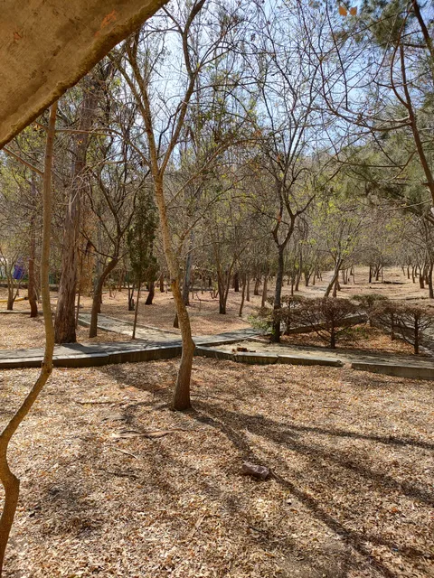 Bosque Lázaro Cárdenas