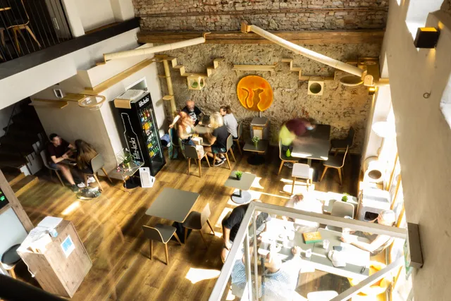 Cat Temple Regensburg