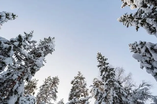 Parque Ambiental Macambira
