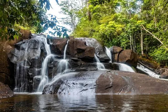 Aruvikuzhy Waterfalls