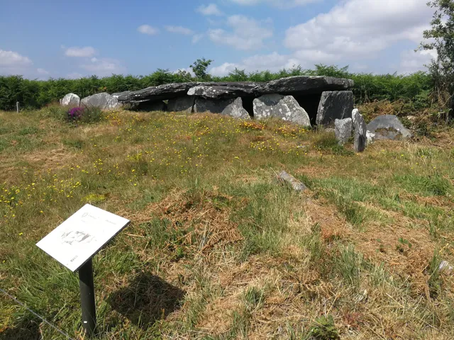 Liscuis gallery graves
