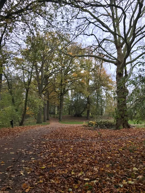Natuurwacht Bommelerwaard