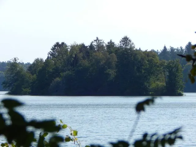 Drüsensee