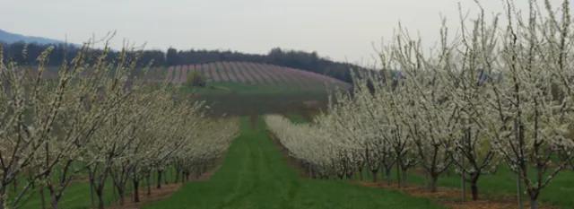 Martinsburg-Berkeley County Convention & Visitors Bureau