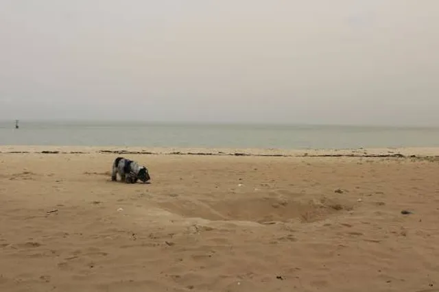 Al Jassasiya Beach