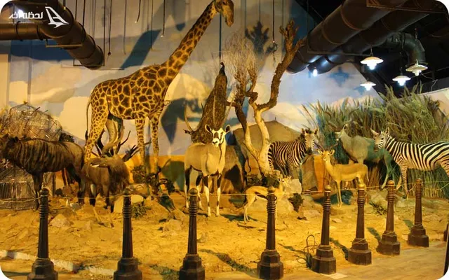 Iran Wildlife and Nature Museum - Dar Abad